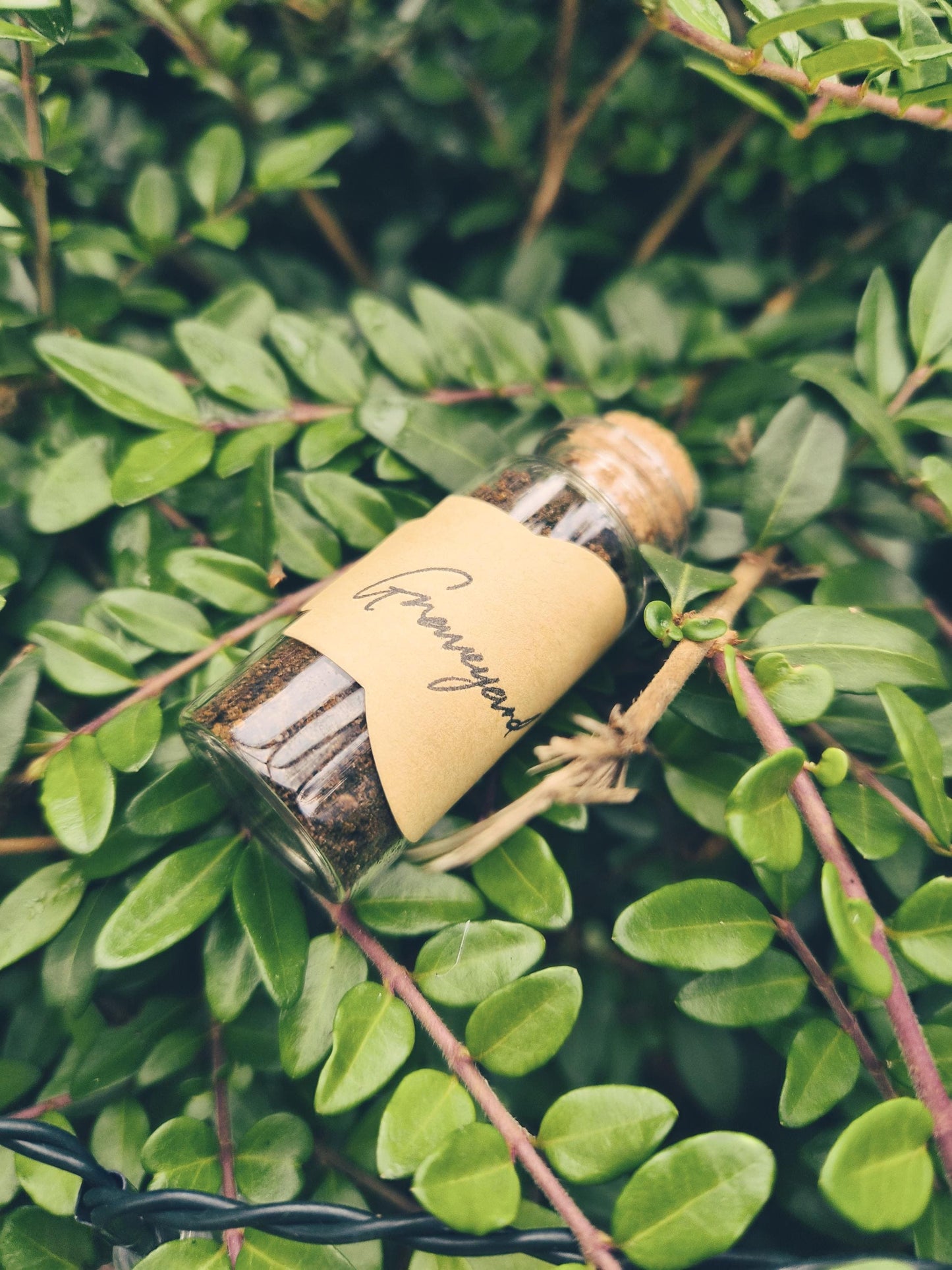 Graveyard Dirt | Ancestral Witch Lineage | Ethically Collected | Full Moon | New Zealand