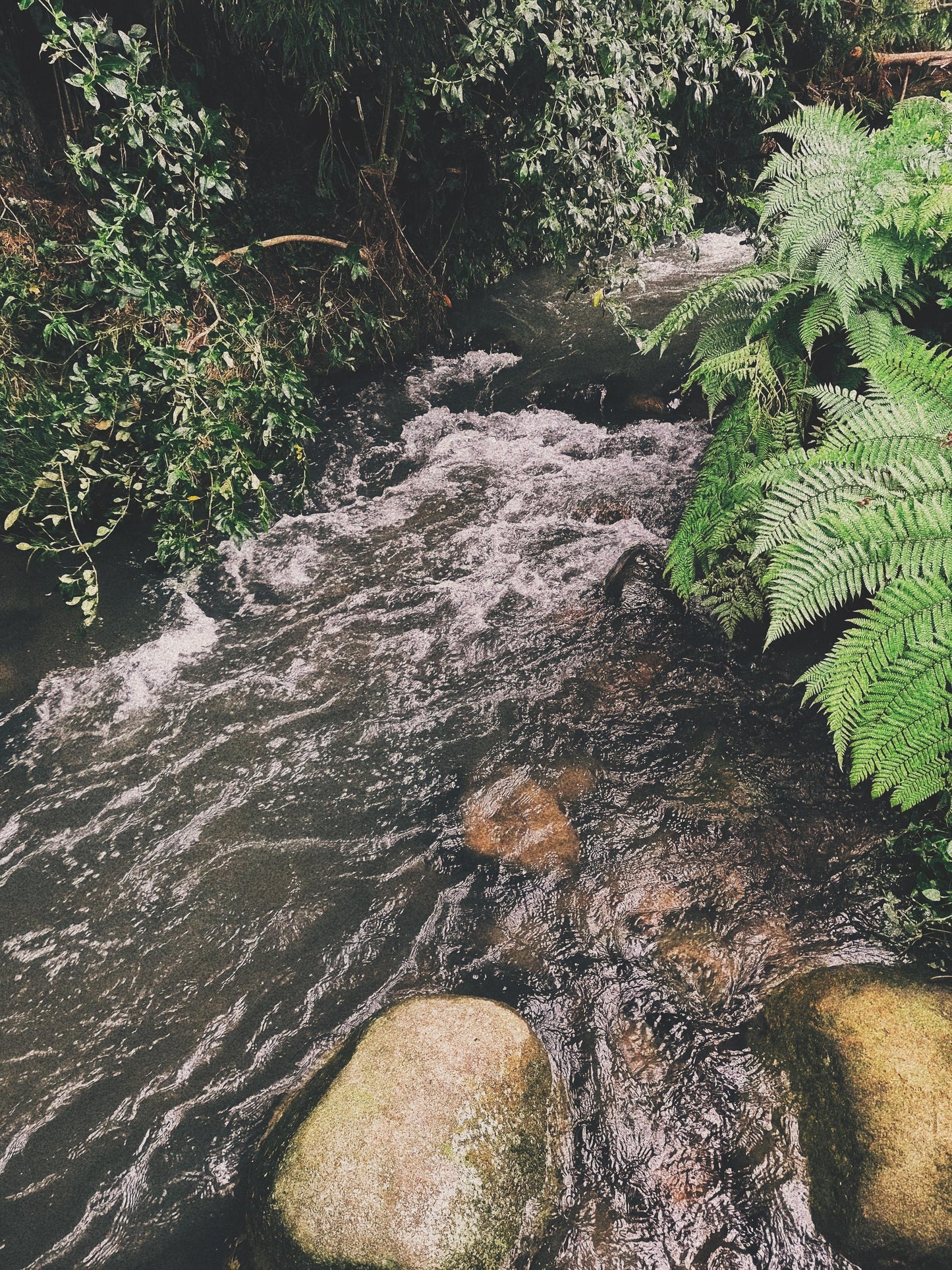 War Water | Storm-Harvested Ritual Water | Protection, Hex Breaking, Curses | Dark Witchcraft Curio