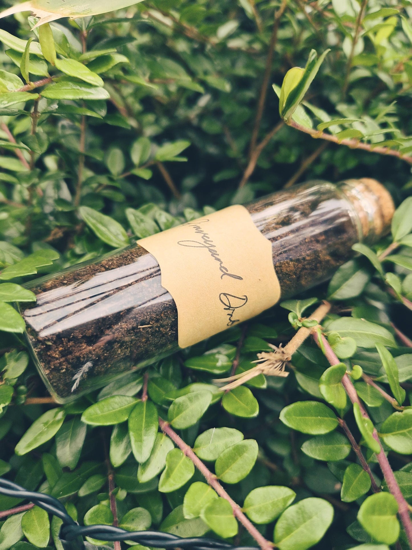 Graveyard Dirt | Ancestral Witch Lineage | Ethically Collected | Full Moon | New Zealand