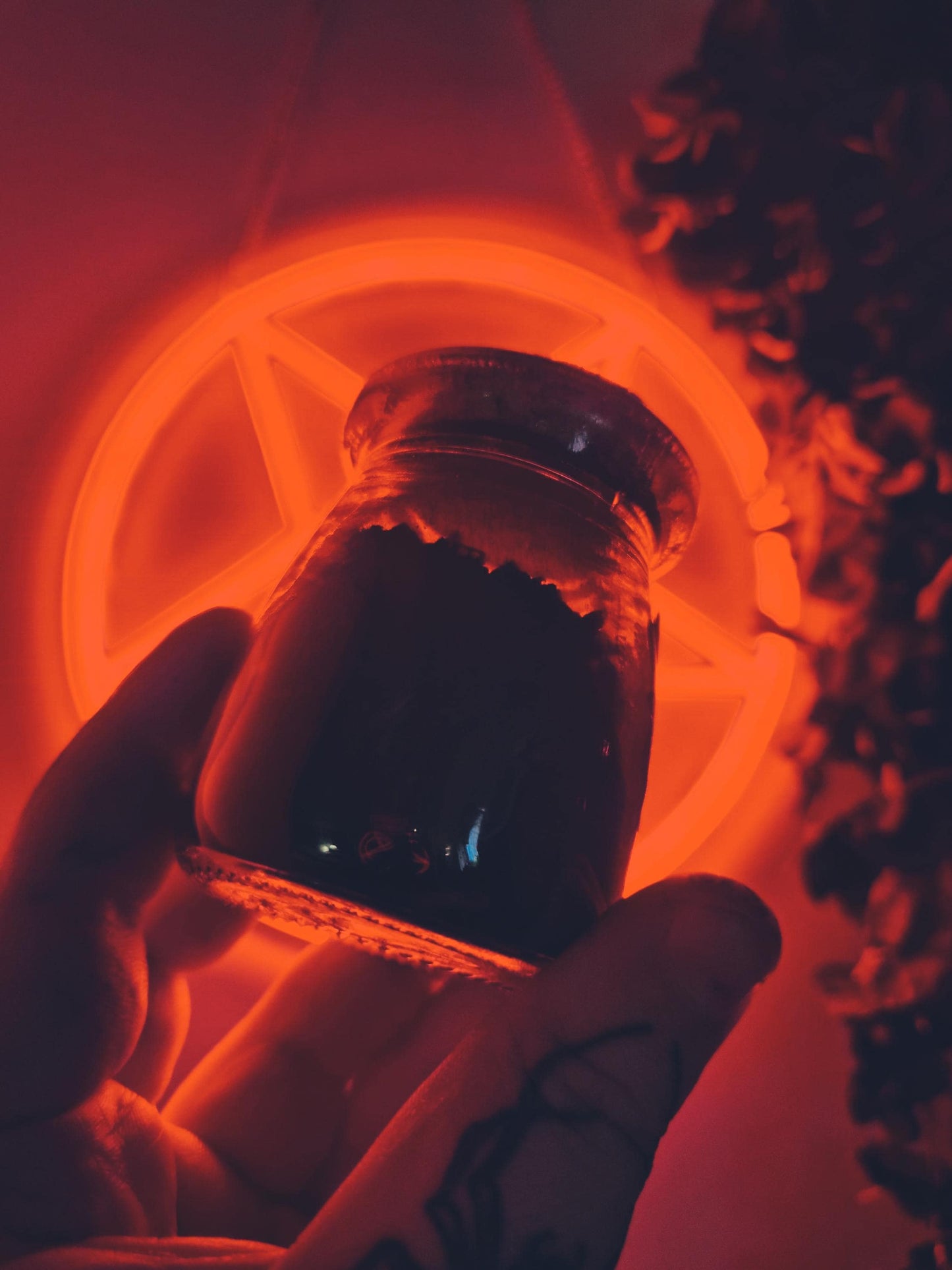 Witch's Black Salt | Rue & Wormwood Ash | Baneful Magic Curio