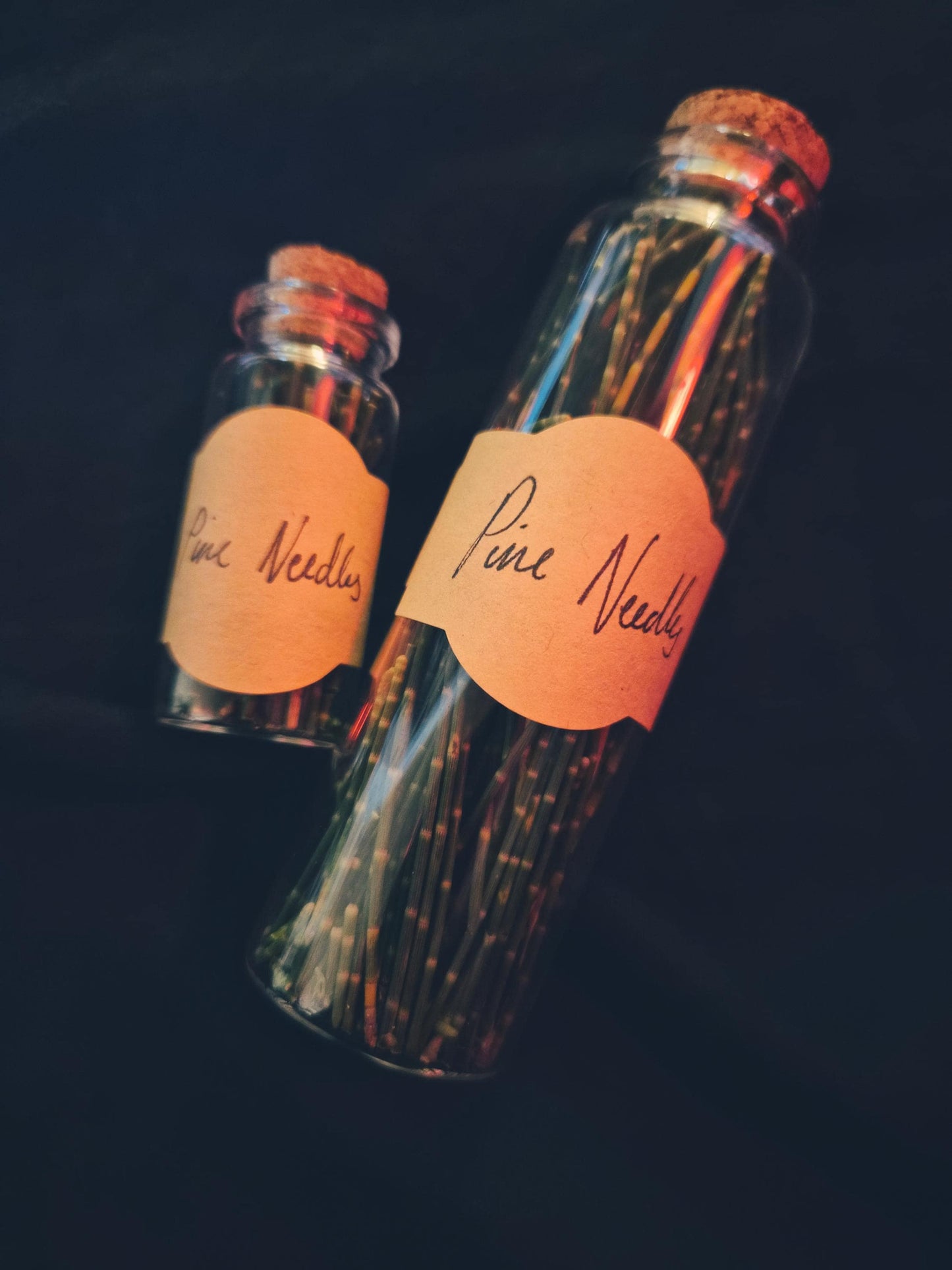Pine Needle Vial | Curse Anchoring | Foraged Aotearoa | Dark Witchcraft Curio