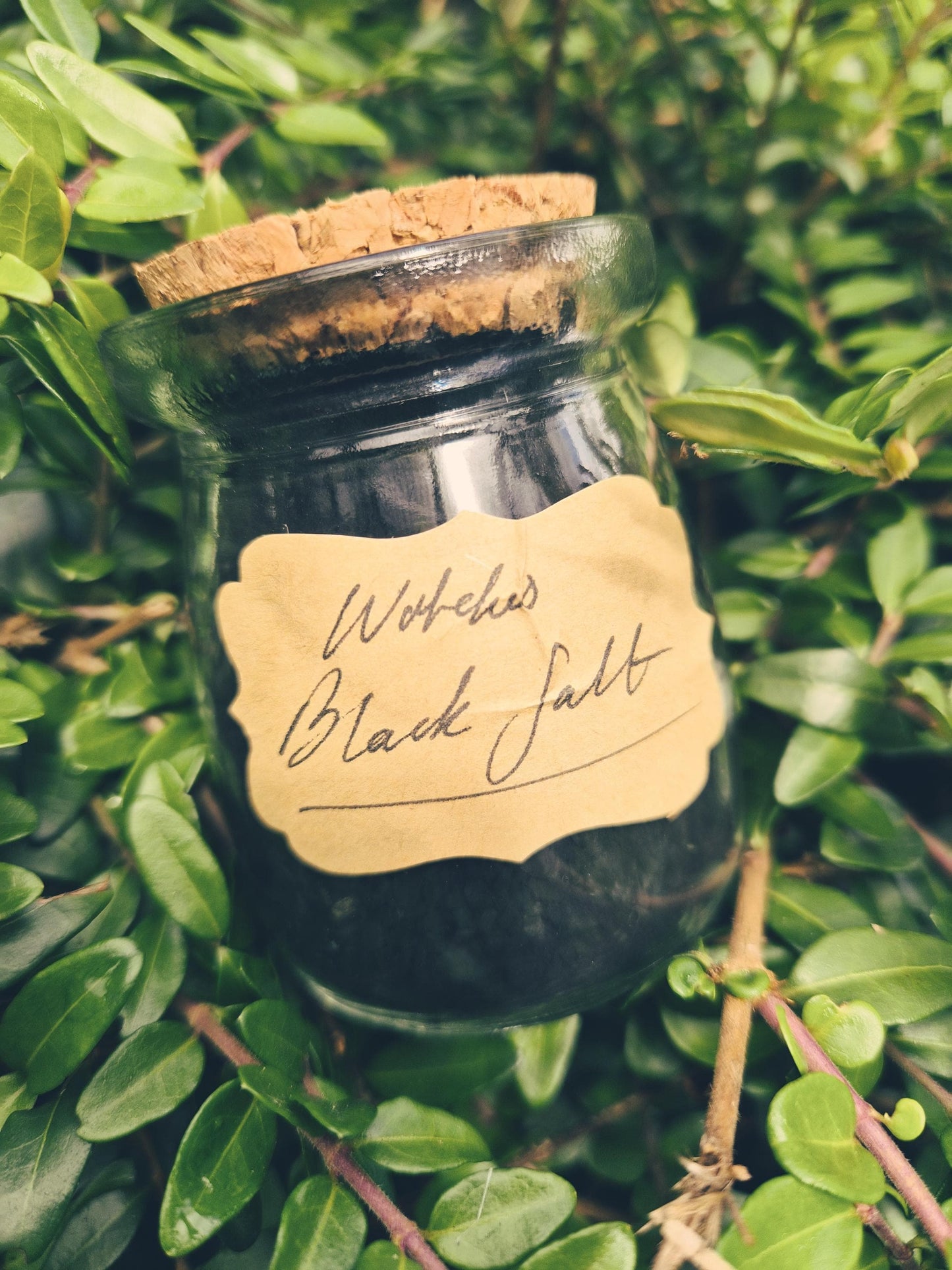 Witch's Black Salt | Rue & Wormwood Ash | Baneful Magic Curio