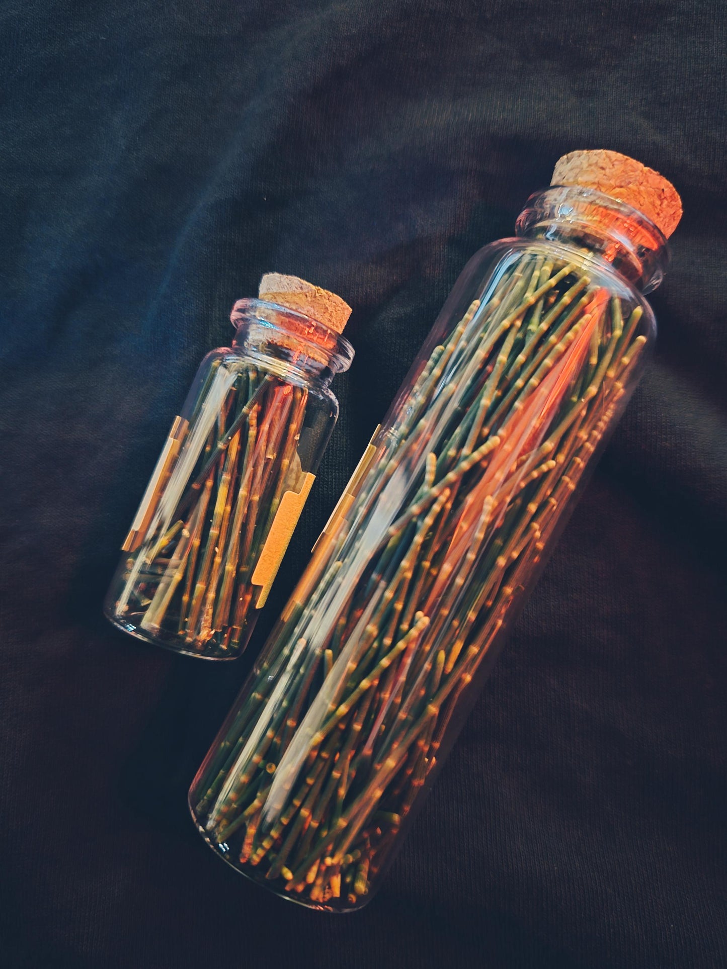 Pine Needle Vial | Curse Anchoring | Foraged Aotearoa | Dark Witchcraft Curio