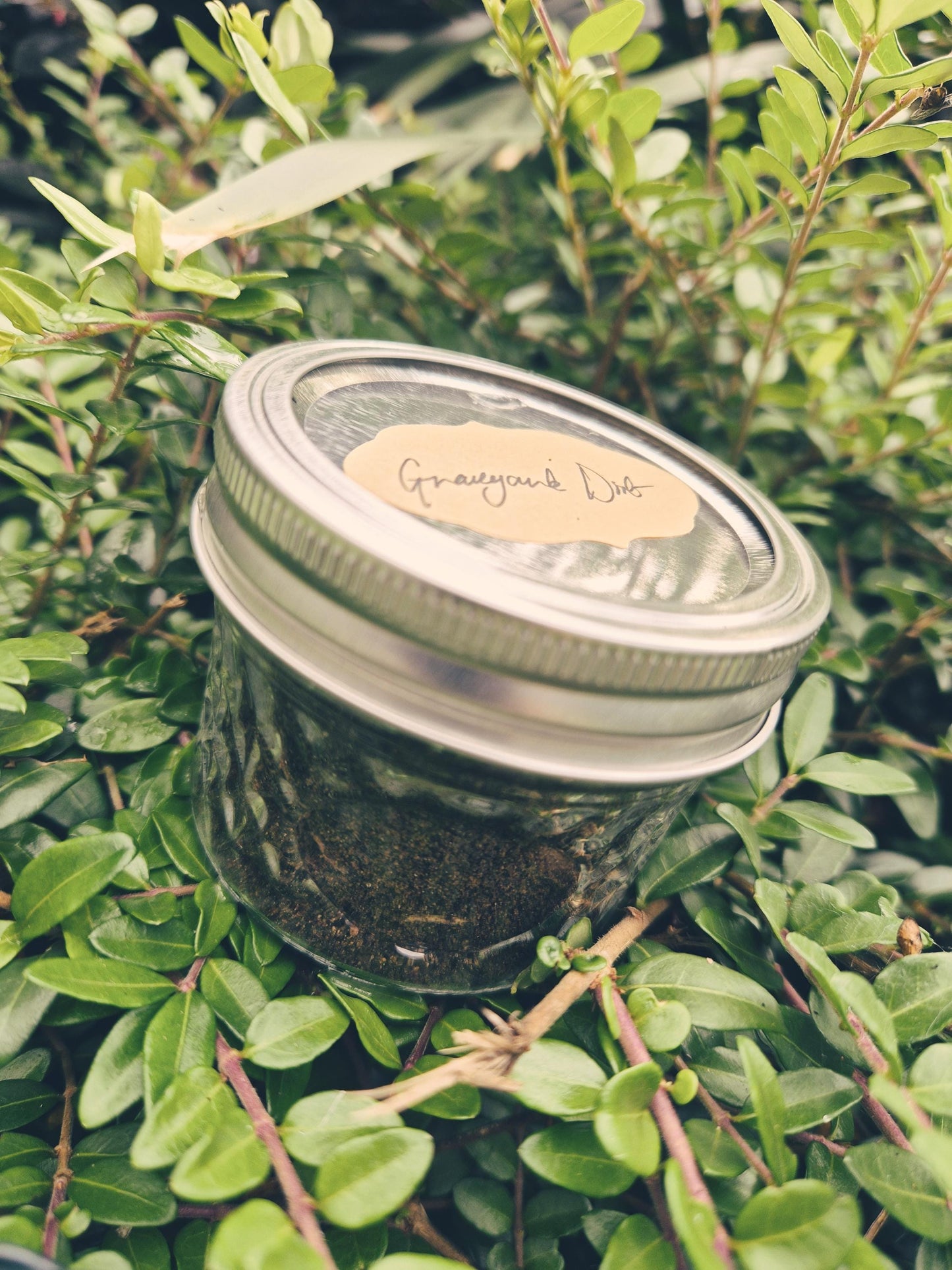 Graveyard Dirt | Ancestral Witch Lineage | Ethically Collected | Full Moon | New Zealand